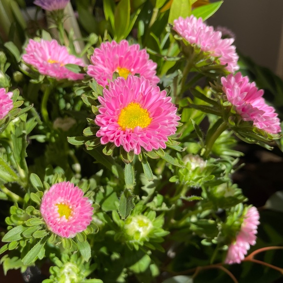 Meet your Posher, T - Picture 8 of 10